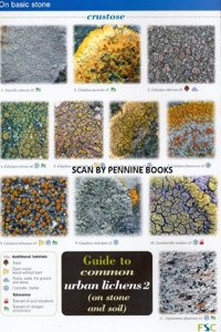 Guide to Common Urban Lichens
