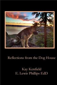 Reflections from the Dog House