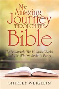 My Amazing Journey Through the Bible