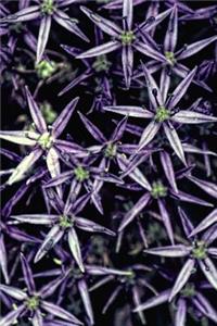 Bright Purples - Lined Notebook with Margins