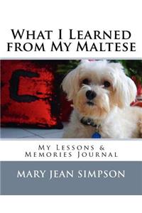 What I Learned from My Maltese