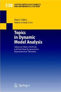 Topics in Dynamic Model Analysis