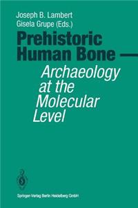 Prehistoric Human Bone