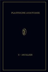 Plastische Anatomie