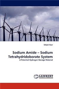 Sodium Amide - Sodium Tetrahydridoborate System