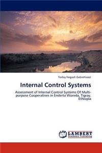 Internal Control Systems