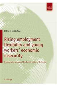 Rising employment flexibility and young workers’ economic insecurity
