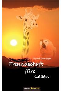 Freundschaft F RS Leben