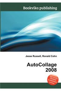 Autocollage 2008