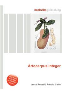 Artocarpus Integer