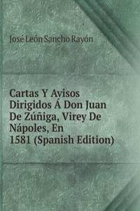 Cartas Y Avisos Dirigidos A Don Juan De Zuniga, Virey De Napoles, En 1581 (Spanish Edition)