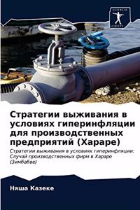 Стратегии выживания в условиях гиперинфл