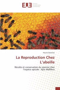 Reproduction Chez L'abeille