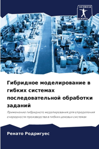 Гибридное моделирование в гибких система