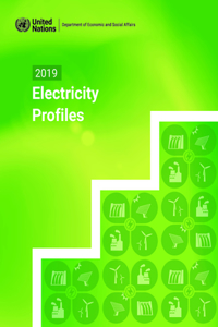 2019 Electricity Profiles