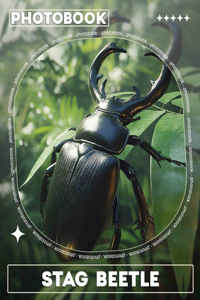 Stag Beetle Photo Book