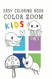Color Zoom
