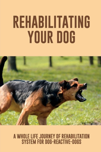 Rehabilitating Your Dog