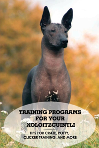 Training Programs For Your Xoloitzcuintli