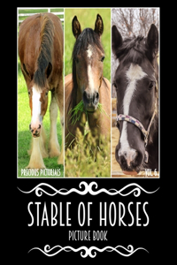 Precious Pictorials Stable Of Horses Picture Book