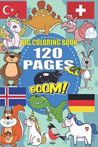 Big Coloring Book