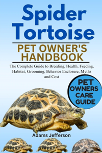 Spider Tortoise