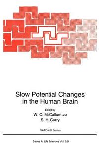 Slow Potential Changes in the Human Brain