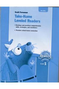 Reading 2007 Take Home Leveled Reader on Level Grade 1