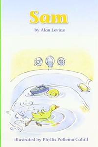 Reading 2011 Leveled Reader Grade 1.1.1 Below
