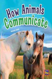 How Animals Communicate: Leveled Reader Ruby Level 27