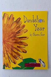 Little Celebrations, Non-Fiction, Dandelion Year, Single Copy, Stage 2b