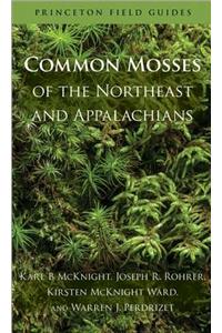 Common Mosses of the Northeast and Appalachians