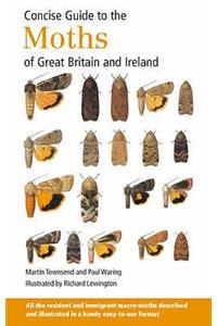 Concise Guide to the Moths of Great Britain and Ireland