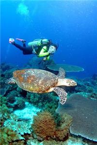 Scuba Diving with a Sea Turtle Adventure Journal