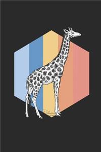 Giraffes