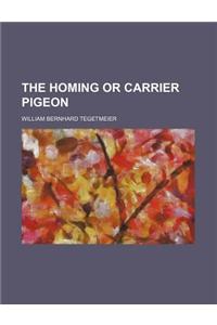 The Homing or Carrier Pigeon