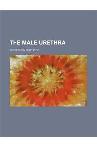 The Male Urethra