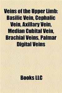Veins of the Upper Limb