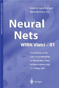 Neural Nets Wirn Vietri-01: Proceedings of the 12th Italian Workshop on Neural Nets, Vietri Sul Mare, Salerno, Italy, 17-19 May 2001