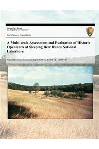 A Multi-scale Assessment and Evaluation of Historic Openlands at Sleeping Bear Dunes National Lakeshore