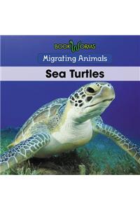 Sea Turtles