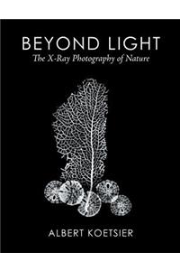Beyond Light