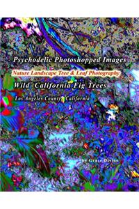 Psychodelic Photoshopped Images Nature Landscape Tree & Leaf Photography