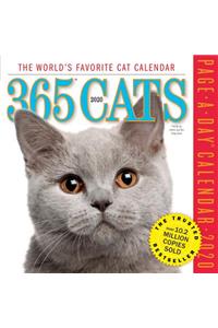 365 Cats Page-A-Day Calendar 2020