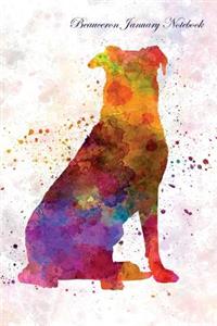 Beauceron January Notebook Beauceron Record, Log, Diary, Special Memories, To Do List, Academic Notepad, Scrapbook & More