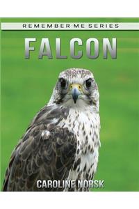 Falcon