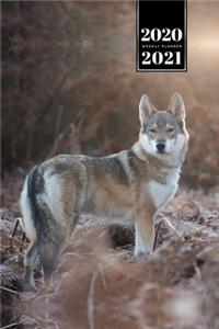 Wolf Wolves Week Planner Weekly Organizer Calendar 2020 / 2021 - Fixed View