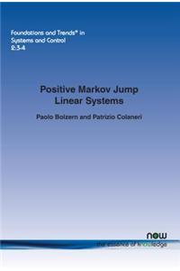 Positive Markov Jump Linear Systems