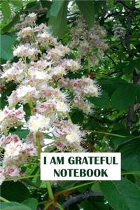 I am Grateful