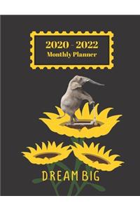 2020-2022 Monthly Planner